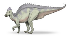 Imagen de Hypacrosaurus