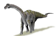 Imagen de Rapetosaurus