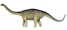 Imagen de Rhoetosaurus