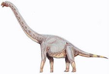 Imagen de Sonorasaurus
