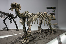 Imagen de Tianzhenosaurus