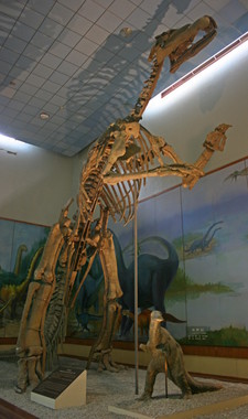 Imagen de Shantungosaurus