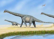 Imagen de Alamosaurus