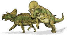Imagen de Avaceratops