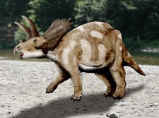 Imagen de Coahuilaceratops