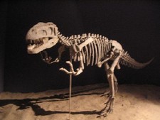 Imagen de Gasosaurus