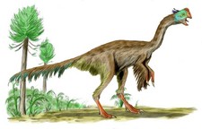 Imagen de Gigantoraptor