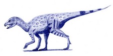 Imagen de Heterodontosaurus