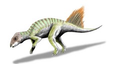 Imagen de Hongshanosaurus