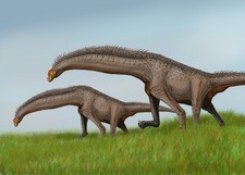 Imagen de Isisaurus