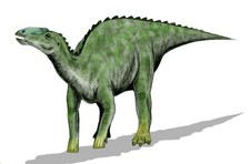 Imagen de Kritosaurus