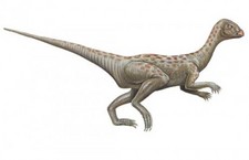 Imagen de Lanasaurus