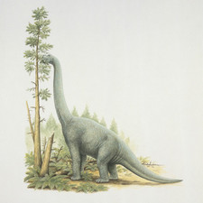 Imagen de Lapparentosaurus