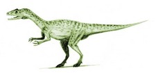 Imagen de Liliensternus