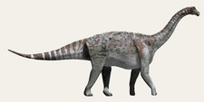 Imagen de Lirainosaurus