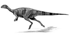 Imagen de Macrogryphosaurus