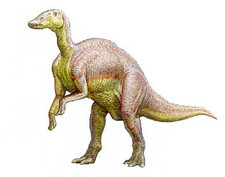 Imagen de Mandschurosaurus
