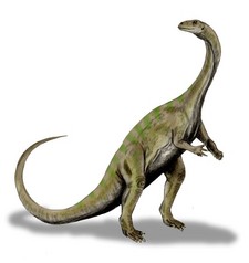 Imagen de Massospondylus