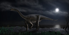 Imagen de Melanorosaurus