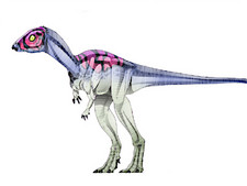 Imagen de Micropachycephalosaurus