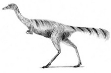 Imagen de Mononykus