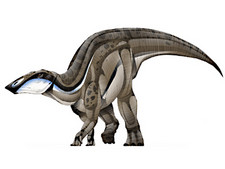 Imagen de Naashoibitosaurus