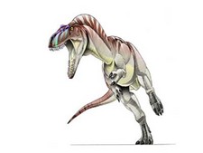 Imagen de Nanotyrannus