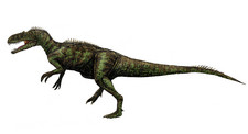 Imagen de Neovenator