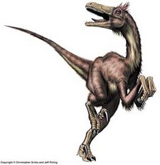 Imagen de Neuquenraptor