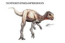 Imagen de Notohypsilophodon