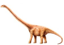 Imagen de Omeisaurus