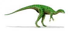 Imagen de Othnielosaurus