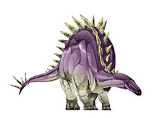 Imagen de Paranthodon