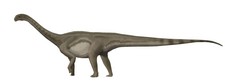 Imagen de Patagosaurus