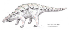 Imagen de Pawpawsaurus