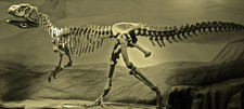 Imagen de Piatnitzkysaurus