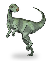 Imagen de Qantassaurus