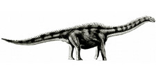 Imagen de Qingxiusaurus