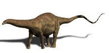 Imagen de Rebbachisaurus