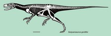 Imagen de Sanjuansaurus