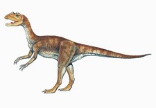 Imagen de Sarcosaurus