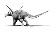 Imagen de Sauropelta