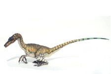 Imagen de Saurornithoides