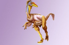Imagen de Saurornitholestes