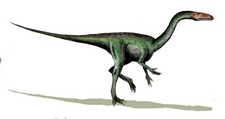 Imagen de Segisaurus