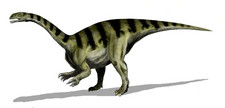 Imagen de Sellosaurus
