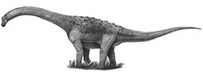 Imagen de Sonidosaurus