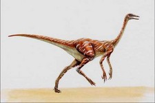 Imagen de Struthiomimus