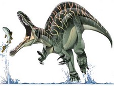 Imagen de Suchomimus