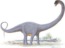 Imagen de Supersaurus